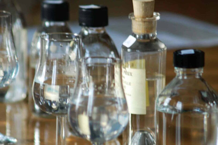 Échantillons d'eaux-de-vie de Cognac lors d'une dégustation professionnelle