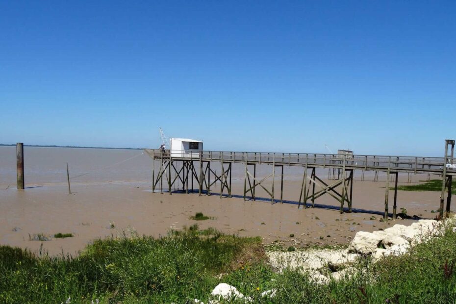 Les bords de Gironde, entre vignobles de Cognac et vignoble de Bordeaux Côtes de Blayes