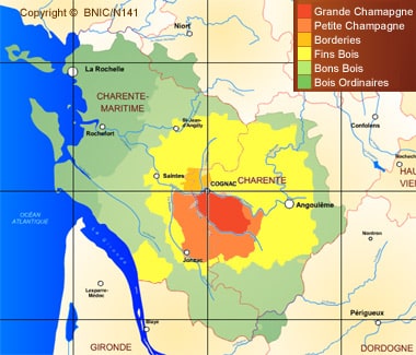Cognac vineyard map