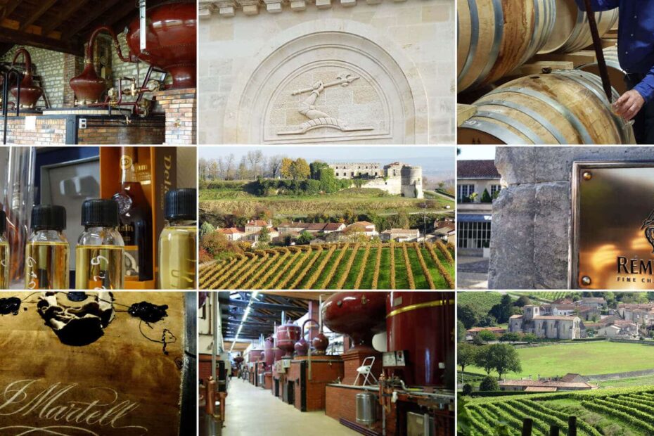 Tailored made excursions in Charente and in the vineyard of cognac