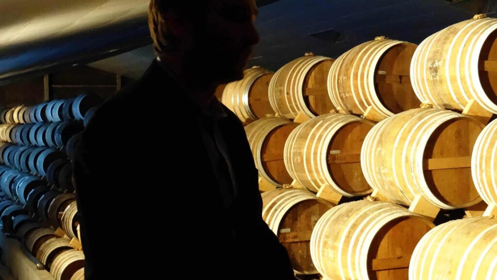 Let your visitors discover secret places in the Cognac vineyards