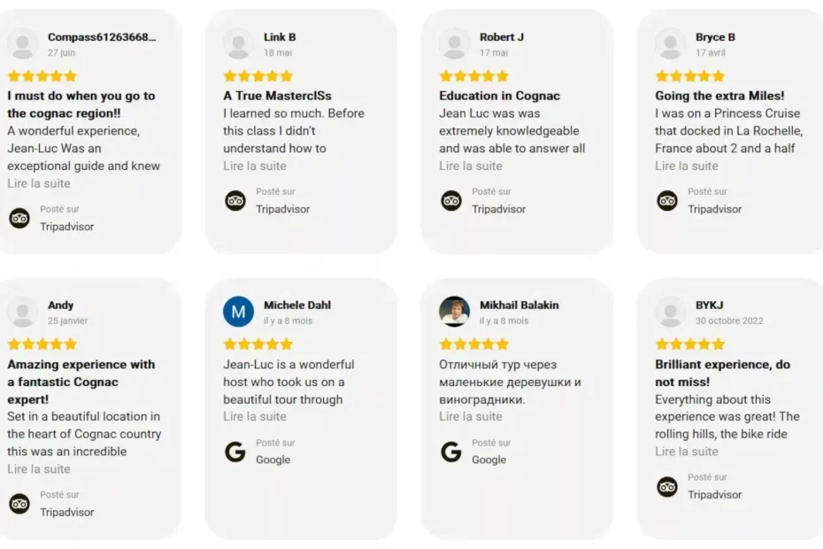 Discover our agency by reading the reviews left online by our clients